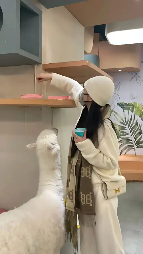 在线看片免费人成视频在线影院_亚洲精品国产精品乱码不卡_无码国产免费不卡免费